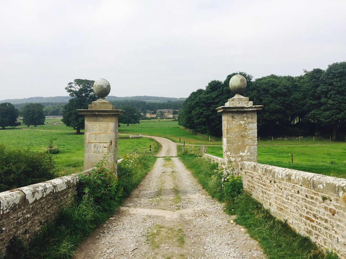 Ed_Durham's tweet image. 