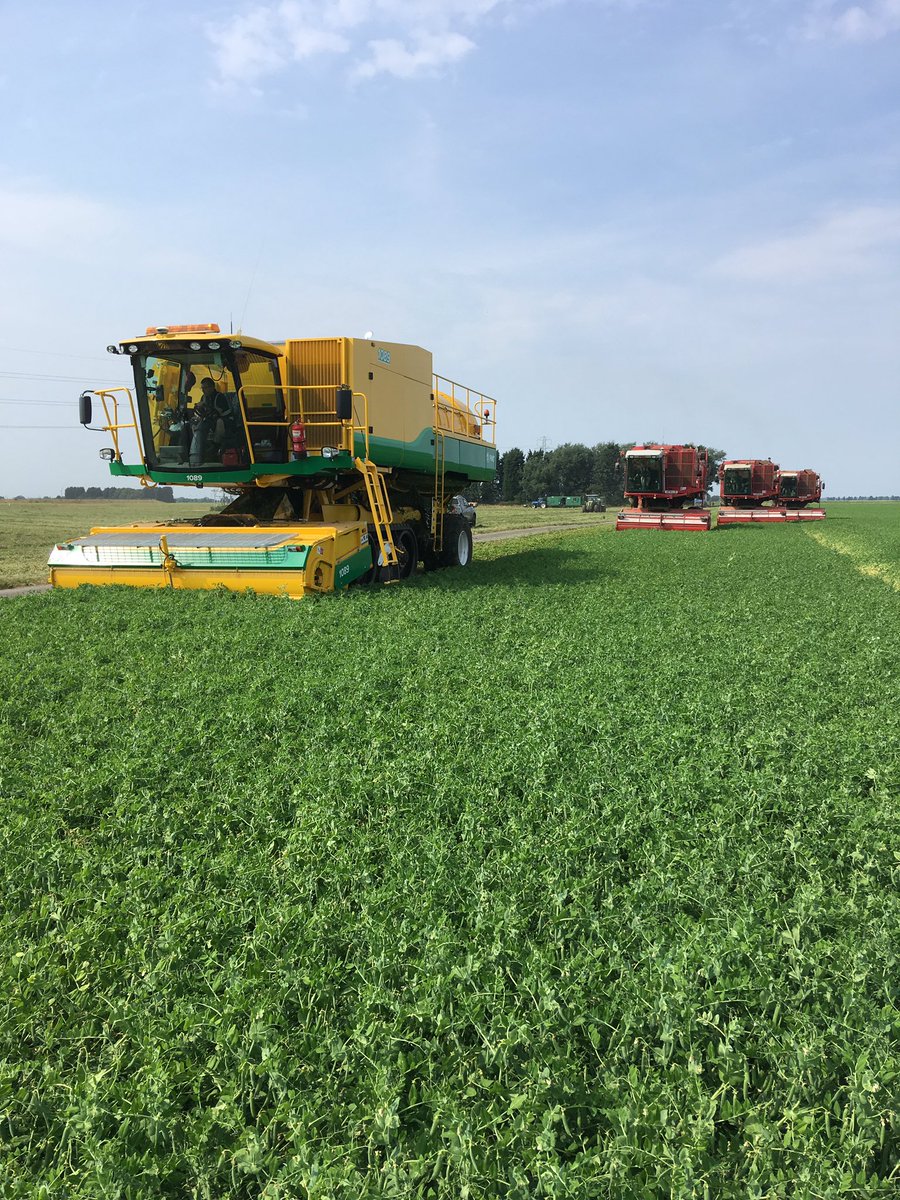 HMC Peas now harvesting petits pois. A bit of a colour clash with the new addition to the fleet.