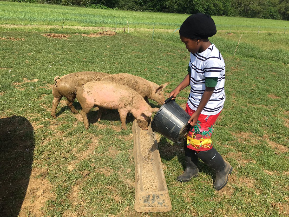Egg grading &amp; feeding the pigs with <a href="/princessmayy6/">PrincessMayPrimaryY6</a>. No rest for busy farmers.