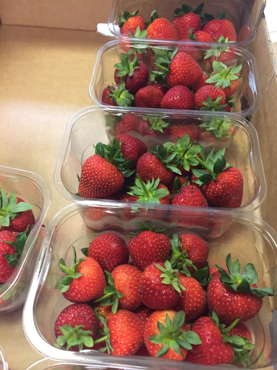 ChefGaryParsons's tweet photo. First batch of strawberries for jam#Wimbledon#hugh Lowe farm https://t.co/Y0RQZYbP8I