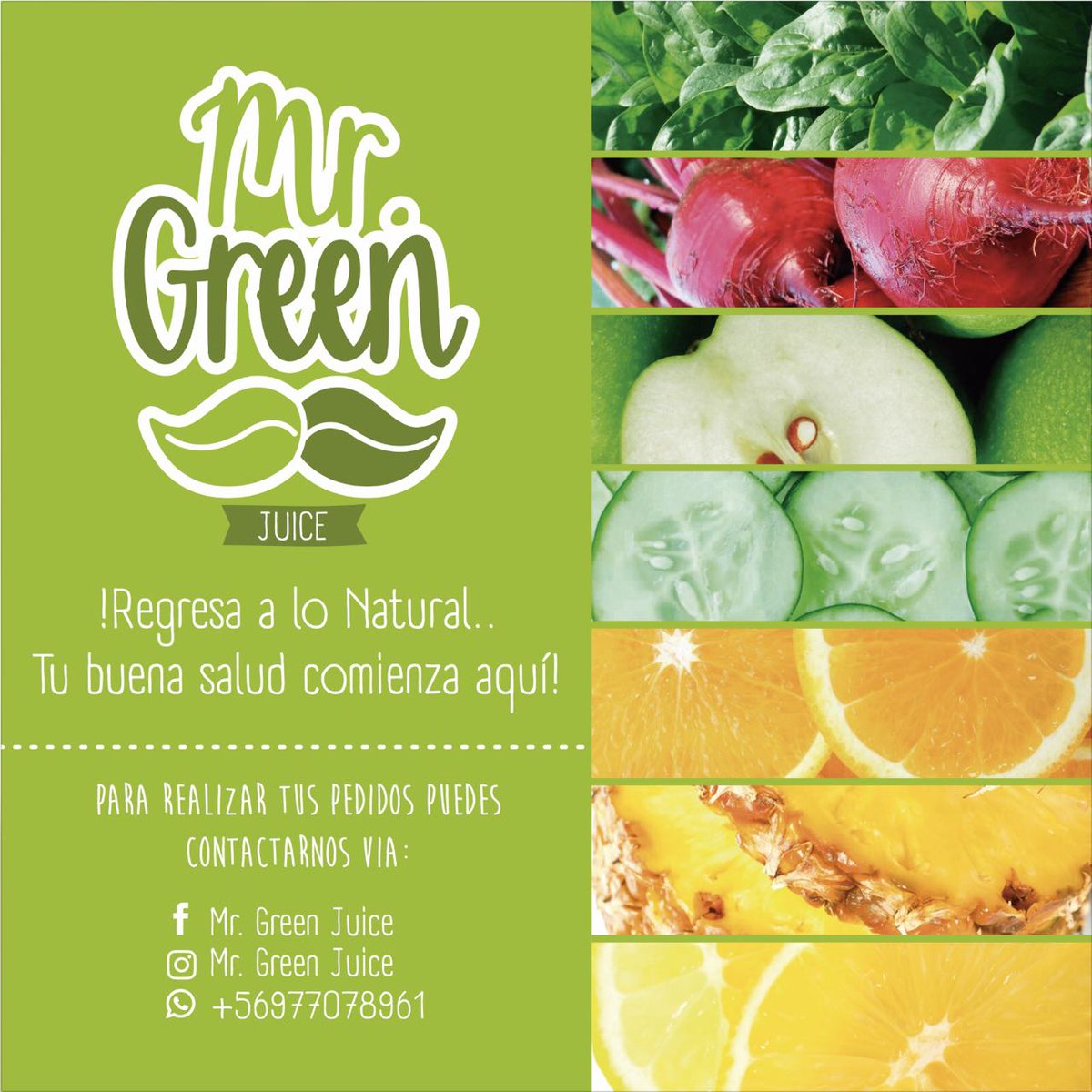 MrGreeNvaldivia's tweet photo. Estima@s..Felices por estar presentes en @SurMujer los esperamos Tod@s Invitados #Valdiviacl #FelizMiercoles #SurMujer 🤣🍏🍊🍋🇯🇪🇨🇱👠💋👑👞👟🧢🎩🎓 https://t.co/FYKdYQmNNg