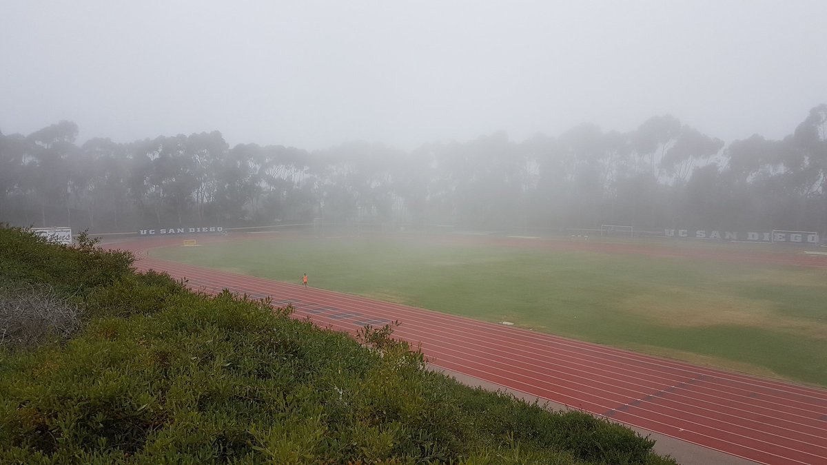 benkanute's tweet image. Solid workout on the track today. Last big one before this weekend's race! #timetofly #dowork #trackwednesday