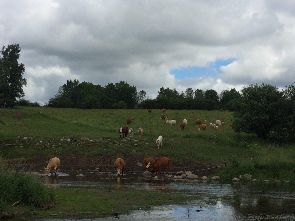 Some friends coming down to join us for a drink on the course <a href="/stmarysgolf/">St. Marys Golf</a>