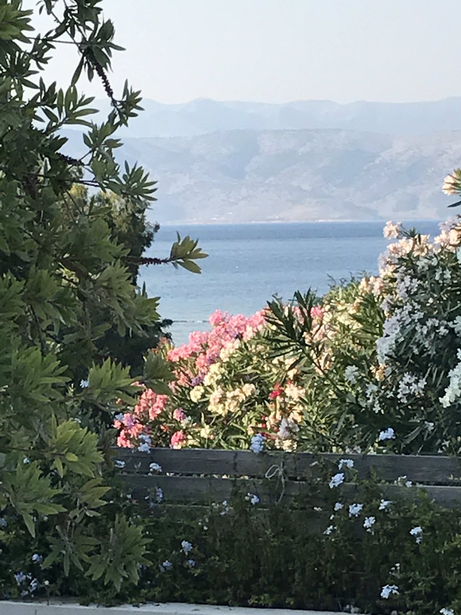 KalokairiBH's tweet photo. #Kalamaki Beach at sunset &amp; #KalokairiBeachHouse in full Bloom #Corfu https://t.co/C7vOY8jgpf