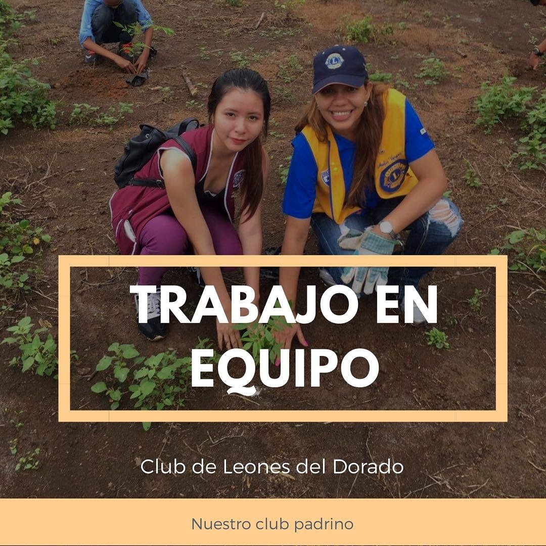 LeosDelDorado's tweet photo. Trabajo Equipo 🦁🐯💪🙋 https://t.co/koecZYEFBI