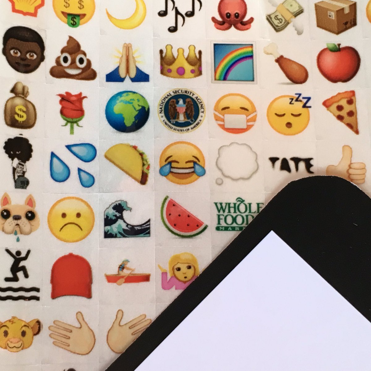 Dr Charlotte Webb tweet media