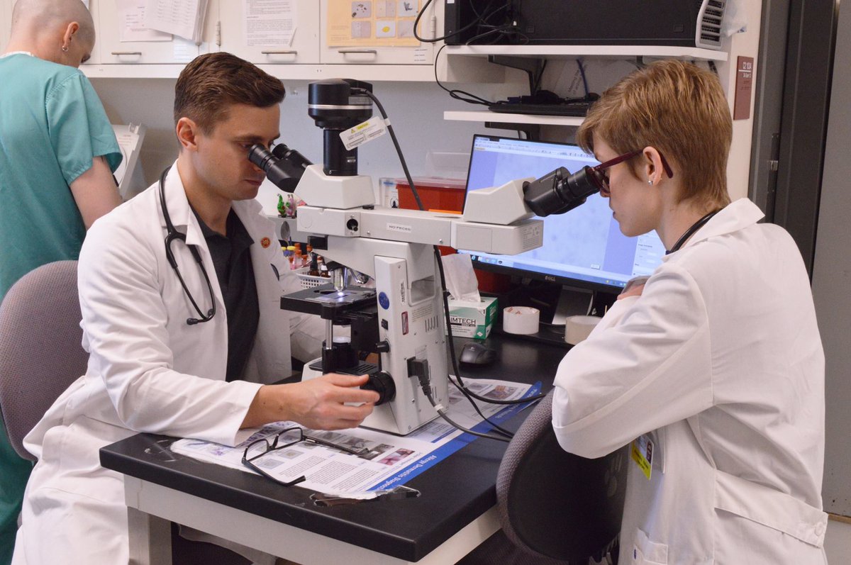 cornellvet's tweet photo. From lectures to clinics, the #WhiteCoat, a rite of passage in #VeterinaryMedicine: https://t.co/PhSvqDZlvr #VetMed https://t.co/Bd4CAn4Ktq