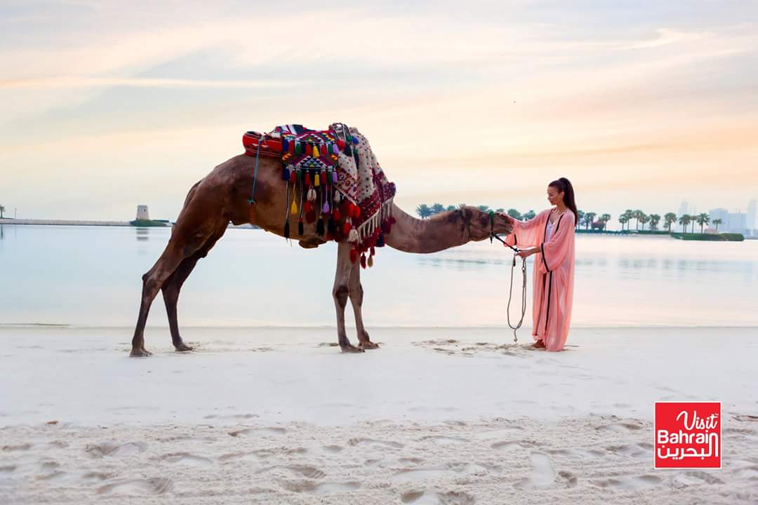 The mesmerizing moment that the shinning sun starts to rise on the Ritz-Carlton beach. Splashing the clouds with endless rays of pink.
