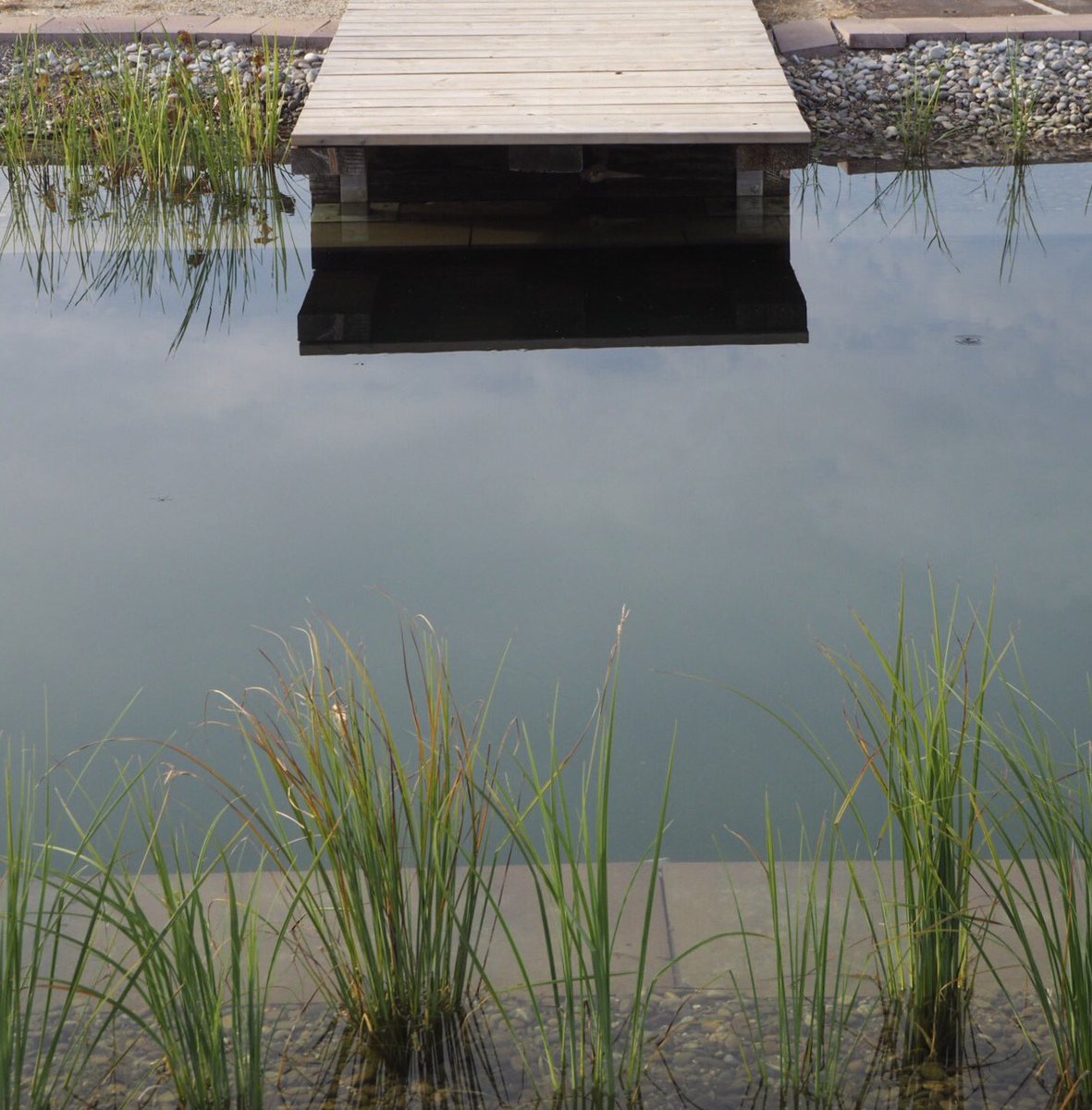 ARAGrup's tweet image. #aguaypaisaje procurando la sostenibilitat con AGUA NATURAL Y SALUDABLE  #piscinasnaturales