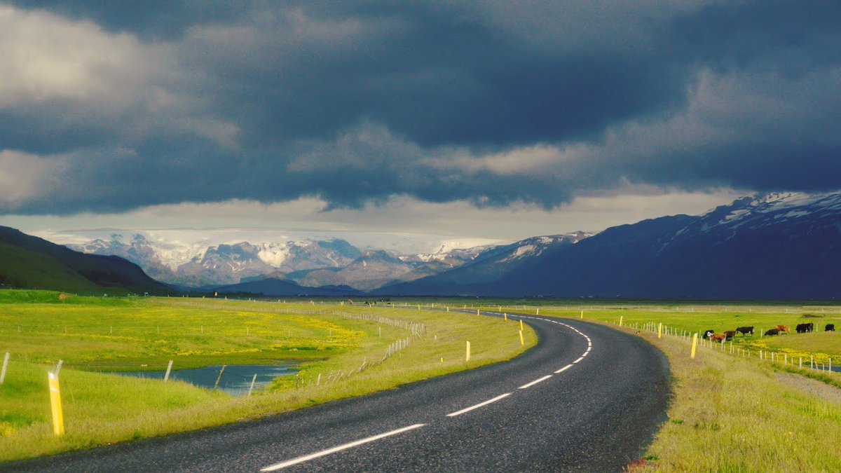 The smell after rain. #Iceland 🇮🇸 <a href="/southiceland/">Visit South Iceland</a>