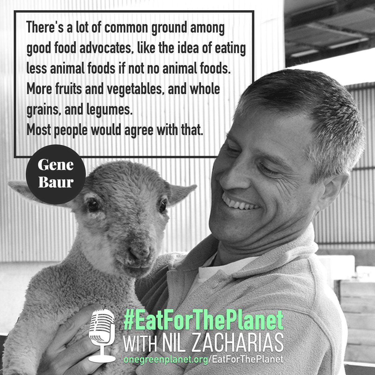 OneGreenPlanet's tweet photo. .@GeneBaur Ends the Debate Between #Vegans and #Meat Eaters – Find Out How https://t.co/xLjw3YYtgG #EatForThePlanet https://t.co/JBloFtAt7s