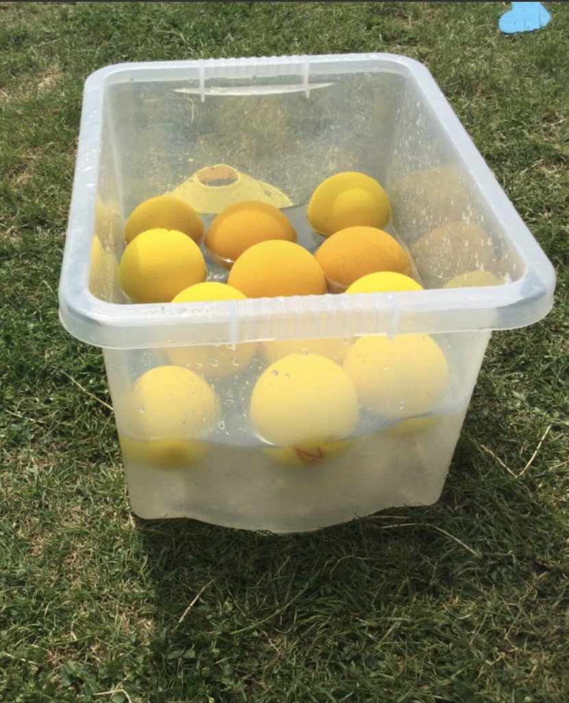 TutorPe's tweet image. #Water Dodgeball #Brand new sport perfect for this weather 😊 #children v Mrs Pattison
#nokidsasnoparentalpermission
