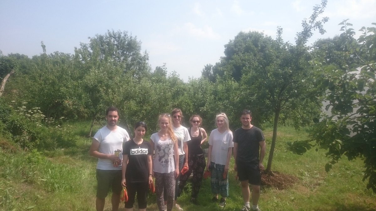 Thank you to the team from <a href="/salesforce/">Salesforce</a> for their great work at Horsenden Hill today, despite the extreme heat!