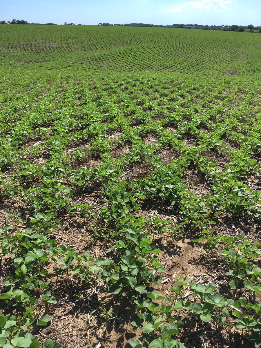 Brandon Fuemmeler tweet media