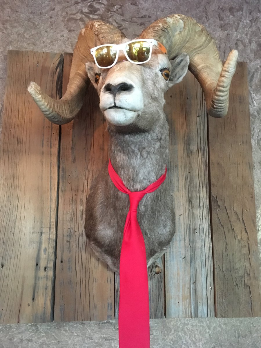 SWIGS show Fri. at <a href="/thesaint/">Cristian Leighton</a> with Riptide Bandits and Basement Tapes. $5, 21+ Doors at 8pm. Don't forget your shades!!