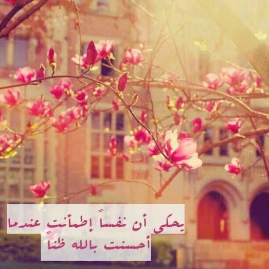 أعان الله أصحاب الظنون السيئة.... 
فهناك مسافه طويلة جداً بينهم وبين الراحة !"