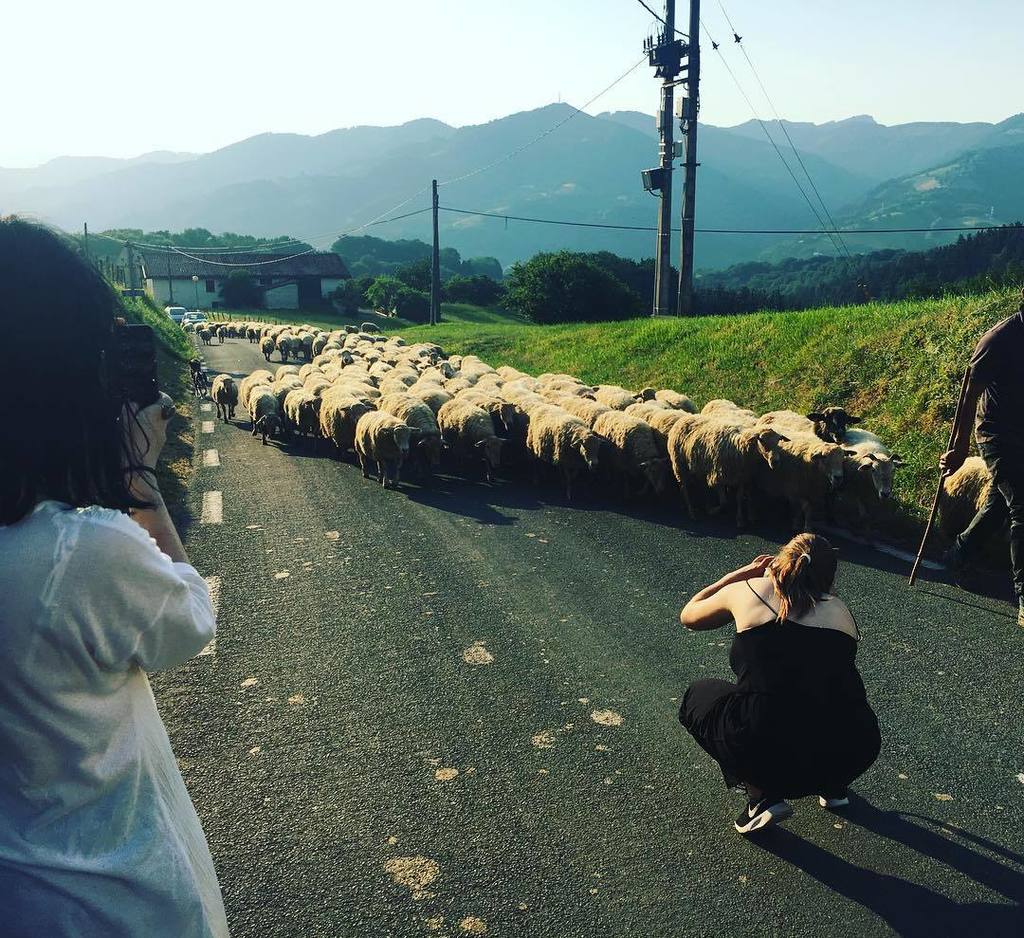 GoierriTurismo's tweet photo. Smile!! #basquecountry #basquehighlands #lazkaomendi #idiazabalcheese #idiazabalgazta #ardiak #sheep #sheeperd #na… https://t.co/HJISzbLRQN https://t.co/o7EtqPCwiN