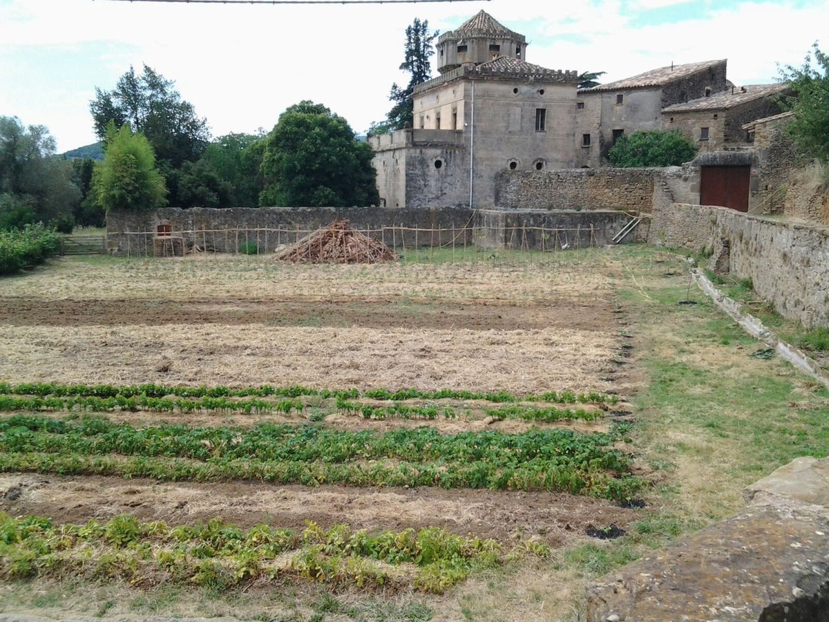 IdariaCoop's tweet photo. L'horta d'estiu de @aLL_LasHeras ja va donant els seus fruits a Canet d'Adri! Gràcies per confiar en nosaltres!! https://t.co/KROoWRUaPz