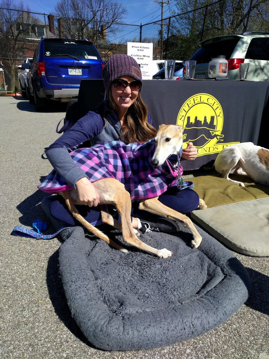steelcitygreys's tweet photo. Our #houndvol Lilly and her hooman, Victoria, will be out at the St. Pamphilus Catholic Church Summer Festival tomorrow from 7-8:30PM. https://t.co/vjS4KQ3AOb