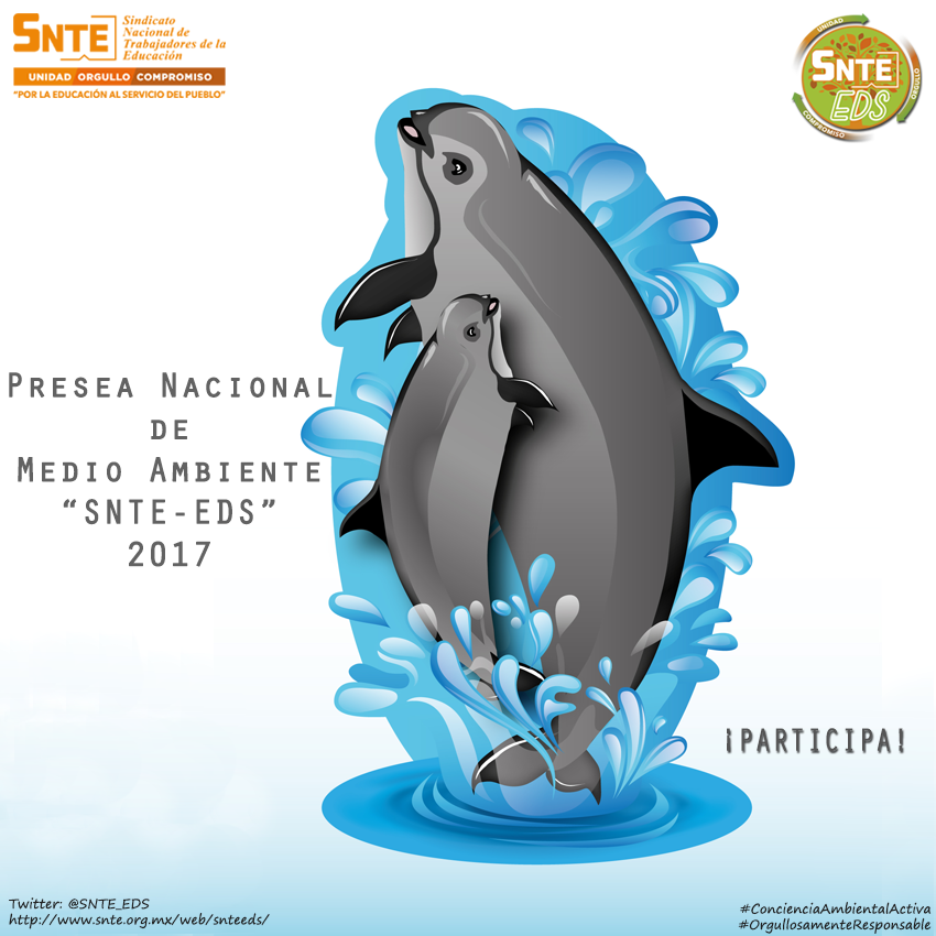 SNTE - EDS NACIONAL tweet media