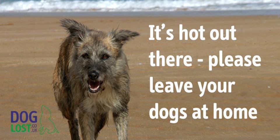 It may seem like five mins when you pop into the shop, but in a hot car, it can feel like eternity