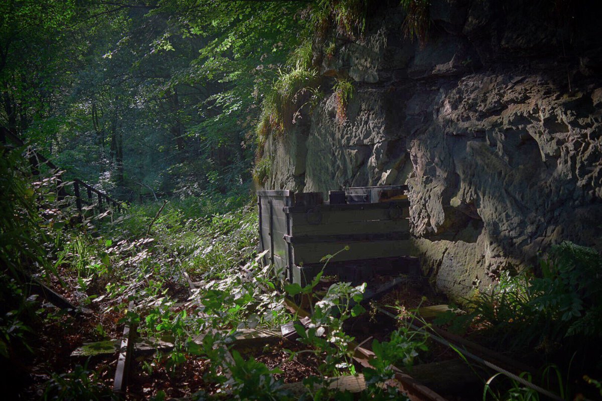 rayayf81's tweet photo. Birkhill clay mine and #railway #abandoned #ScotSpirit #explore #Scotland @bonessrailway @AbandonedSco @ScotsMagazine @VisitScotland https://t.co/ddaeSK2Wll