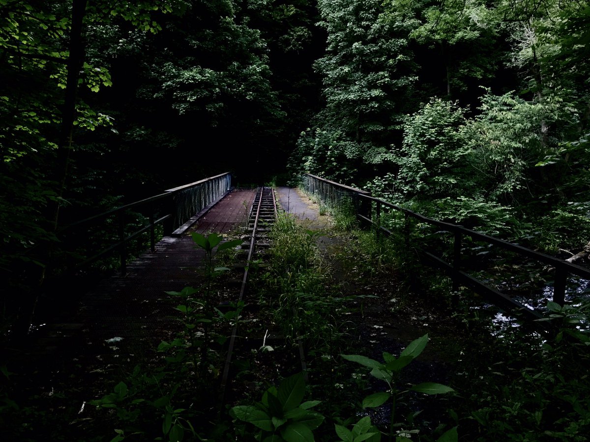 rayayf81's tweet photo. Birkhill clay mine and #railway #abandoned #ScotSpirit #explore #Scotland @bonessrailway @AbandonedSco @ScotsMagazine @VisitScotland https://t.co/ddaeSK2Wll
