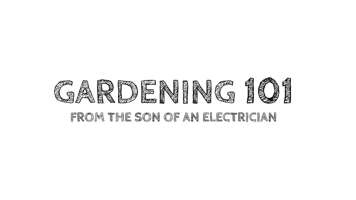 adamweber's tweet photo. NEW blog: Jesus didn’t talk a lot about electricity #ancienttimes #BCprobs but he did talk about vines and branches
https://t.co/XtP1OOEpbG https://t.co/N6wTmD5i6m