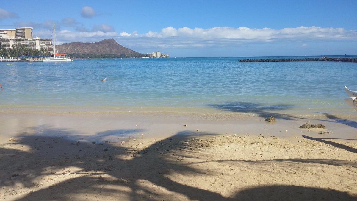 Follow808News's tweet photo. #TweetsofHawaii via @TOMCAD808 https://t.co/7vO2tJVzCG