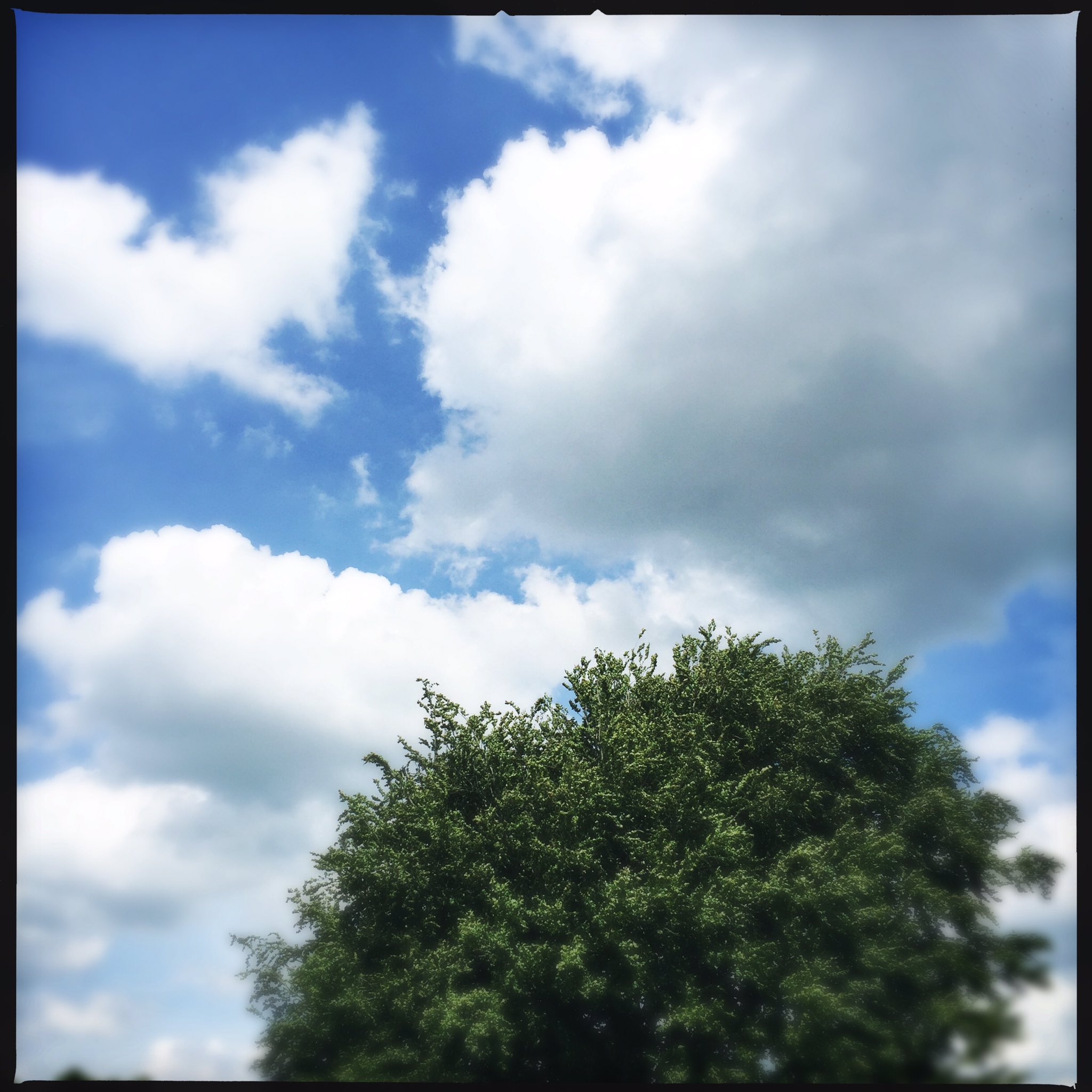 Happy Birthday to Anne Carson. 