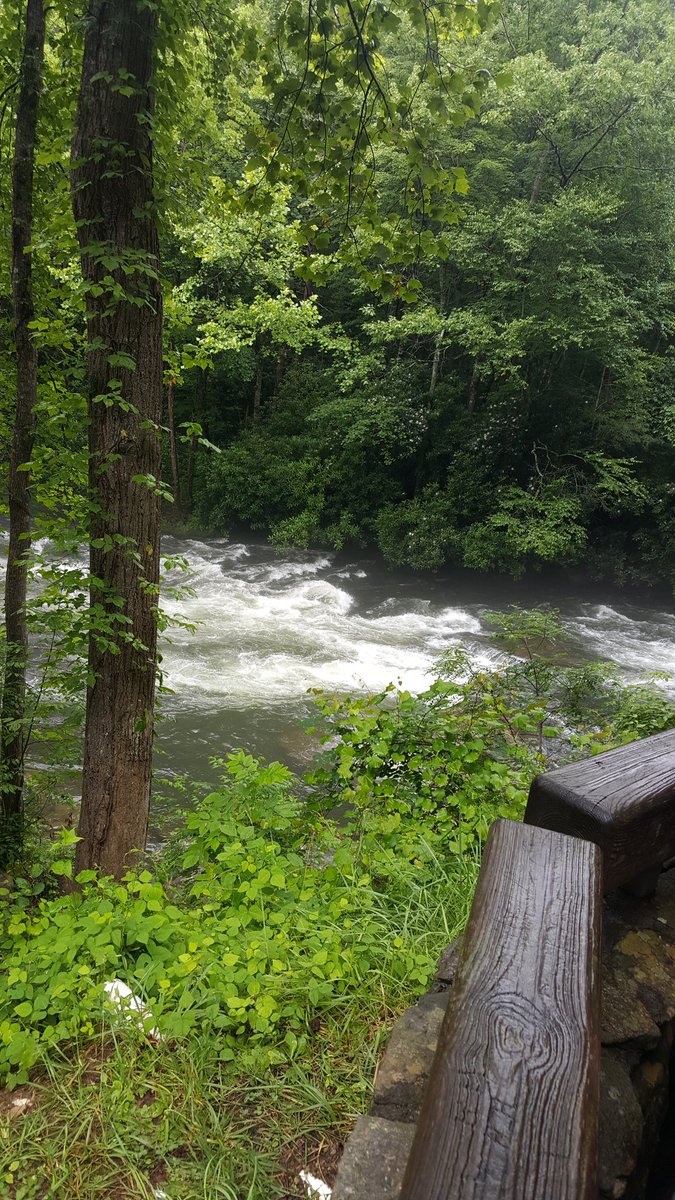 WillCEdwards2's tweet photo. Awesome experience today white water rafting with great guides at @NOC. #17kfpd https://t.co/rnVitjAt9N