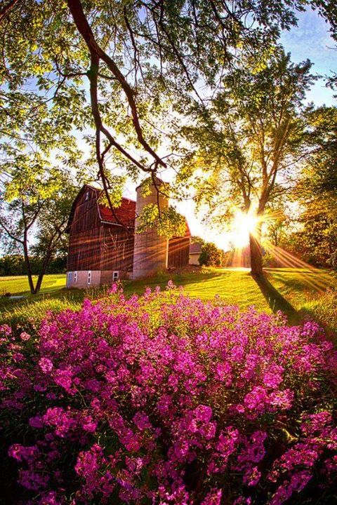 stevekrohn's tweet photo. Farm Fresh | Wisconsin Horizons By Phil Koch. https://t.co/UOB6Px2pLP