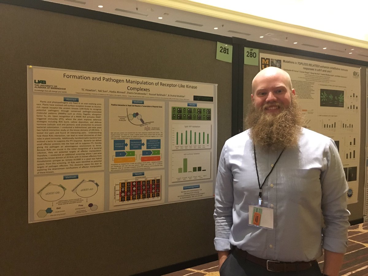 Timothy C Howton tweet media