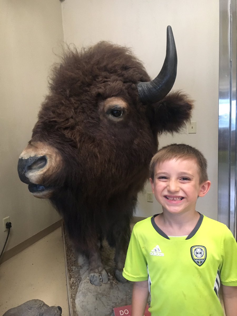 ActivelearnerIA's tweet image. Have you been to the Winters Buffalo Ranch? #placebasededucation #buffalo #bison #iowabison