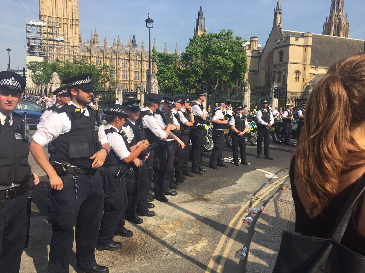 DanFreedman's tweet photo. #dayofrage @metpoliceuk we're outstanding today in searing heat. Polite, took abuse, kept calm. https://t.co/d5aKTzQa5X