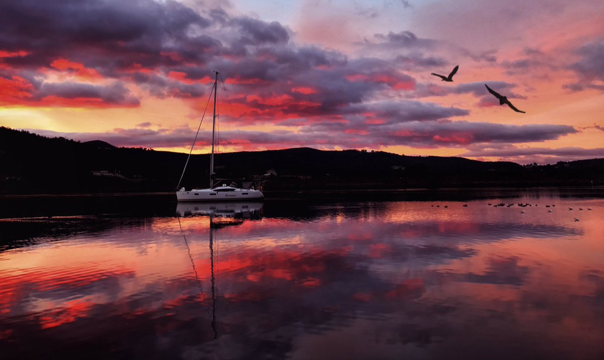 GeorgieHeartSM's tweet photo. Happy #WinterSolstice from the Huon Valley @tasmania 
Come &amp; #DiscoverTasmania this winter ❄️ it's a photographers paradise ❄️Gxxx https://t.co/cYr9GJHHmO