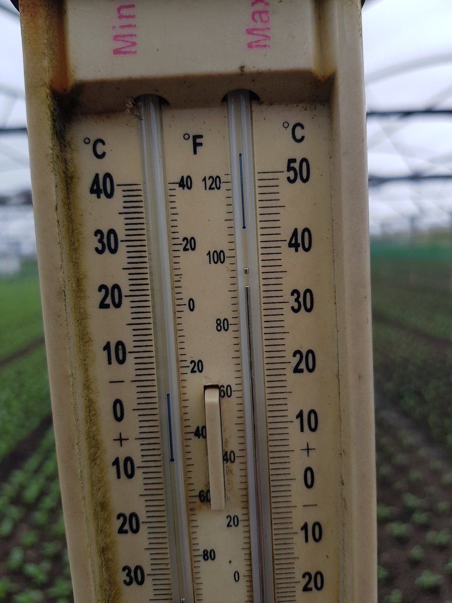 PolytunnelSteve's tweet photo. Tad stuffy in the #polytunnel recently https://t.co/83sKEn7ycv