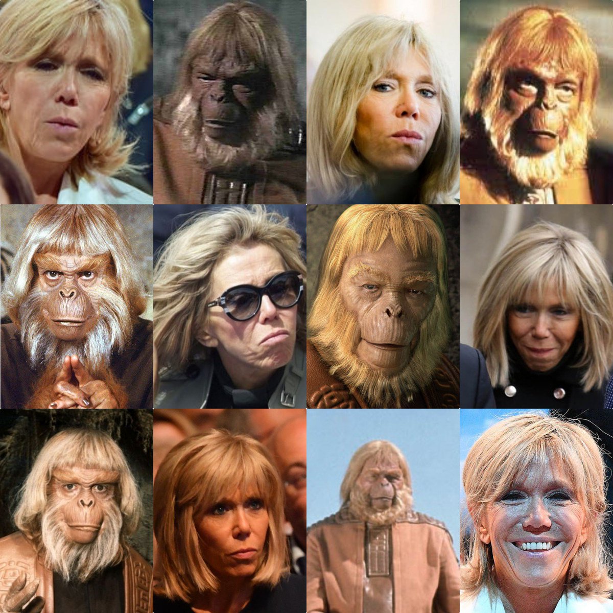 Brigitte Macron La Planete Des Singes