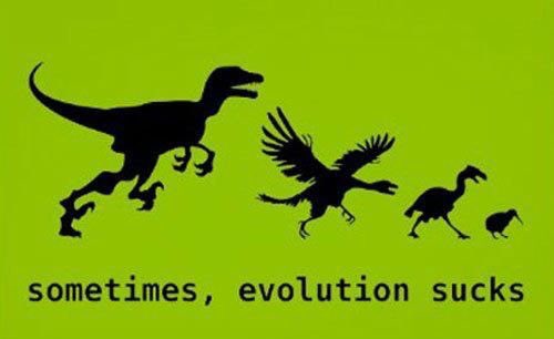 joshloren's tweet image. #darwinevolution in reverse! 😳