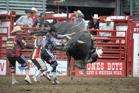 jump_360's tweet photo. The @PonokaStampede is fast approaching.
Get all your info and ticketsnnow!
https://t.co/id1qVTKzMI https://t.co/UMrEpYGJ4i