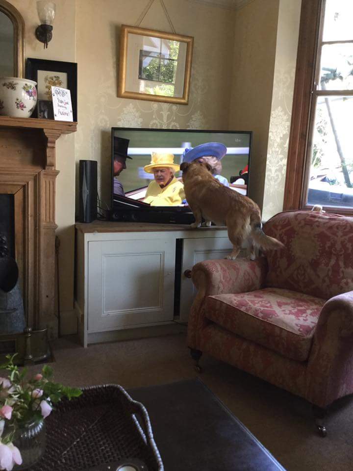 Molly Mckinna tweet media