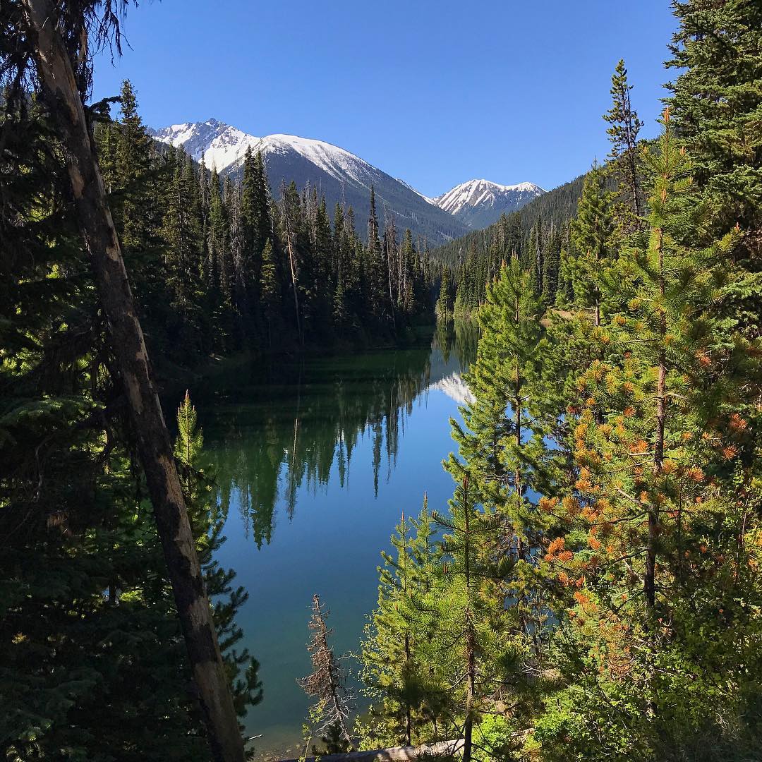 SimilkameenBC's tweet image. This park 😍! #ManningPark 📷: tashagulenchyn (IG)