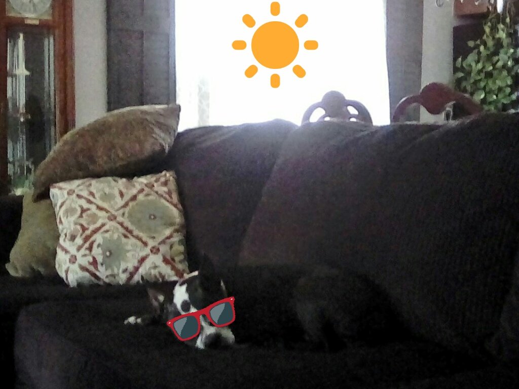 Moo3607's tweet photo. It is way too hot outside so afternoon nap is in order #welcomesummer #toohottowork https://t.co/RAsjOaChy2