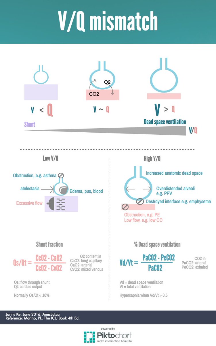 AnesEducation's tweet photo. V/Q mismatch #AnesEducation #MedEd #infographic https://t.co/4qCYUTjw5w https://t.co/A5UDVYkFZG