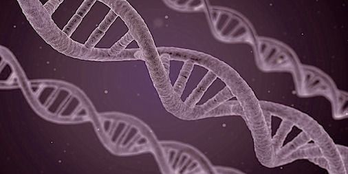 Diagnostics_LR's tweet image. #ComputerModels help researchers discover that sinlge #aminoacid variations cause bigger changes than was known buff.ly/2sS8Juo