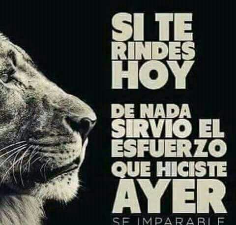 Alberto101510's tweet photo. Si te rindes hoy de nada sirvio el esfuerzo que hiciste ayer. Se imparable https://t.co/TLuh5NXhJ2