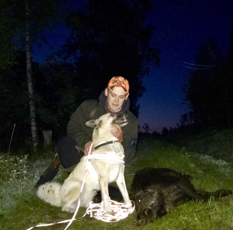 Daniel Hjort tweet media