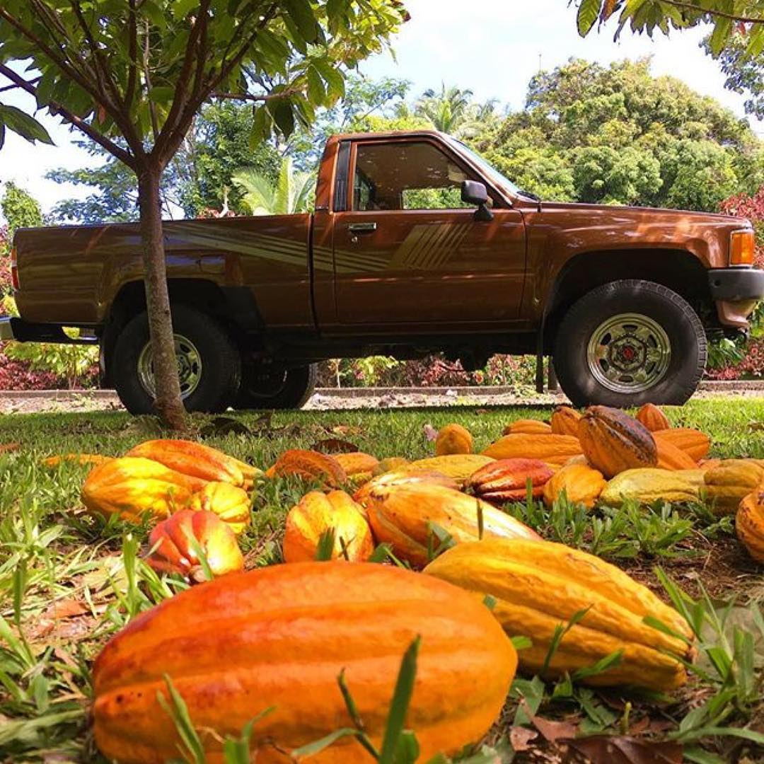 Bock66's tweet photo. Sé enamorarían más de mí si un día los trajera dónde la magia comienza. #Cacao #LoveCacao #ForeverBock ❤ 🤘 https://t.co/RI4YsfsnPz