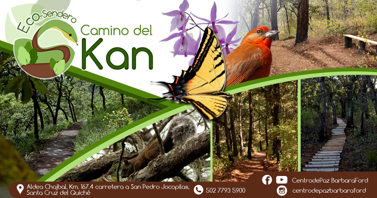 Aprovecha el descanso de medio año en armonía con la naturaleza ¡¡¡Visitando!!! el Eco Sendero Camino del Kan #aves #naturaleza #familia