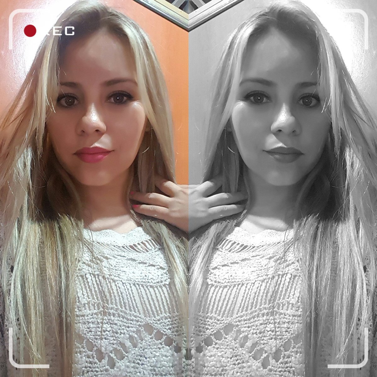 CarranzaElda's tweet photo. #NuevaFotoDePerfil https://t.co/3z4Ocmol5K